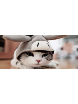 LARGE MOUSEPAD ONLINE L144.小猫咪