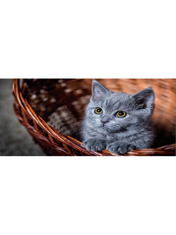 LARGE MOUSEPAD ONLINE L87.猫咪1