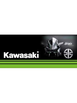 LARGE MOUSEPAD ONLINE L99.川崎-H2R