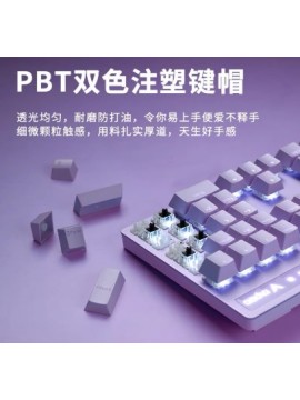 RAPOO V500 PRO 104 KEY WIRED MECHANICAL KEYBOARD PURPLE