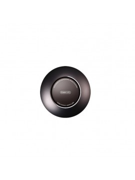 REMAXLIFE RL-CH02 Car Metal Essential Oil Diffuser Tarnish