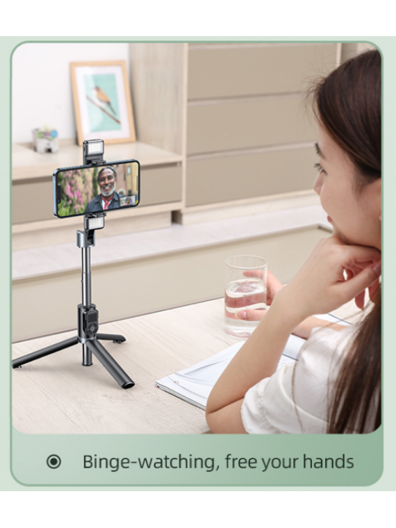 REMAX P13 Live-Stream Holder w/ Dual-Light Black