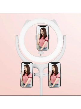 REMAX CK-01 Selfie Holder with Ring Light